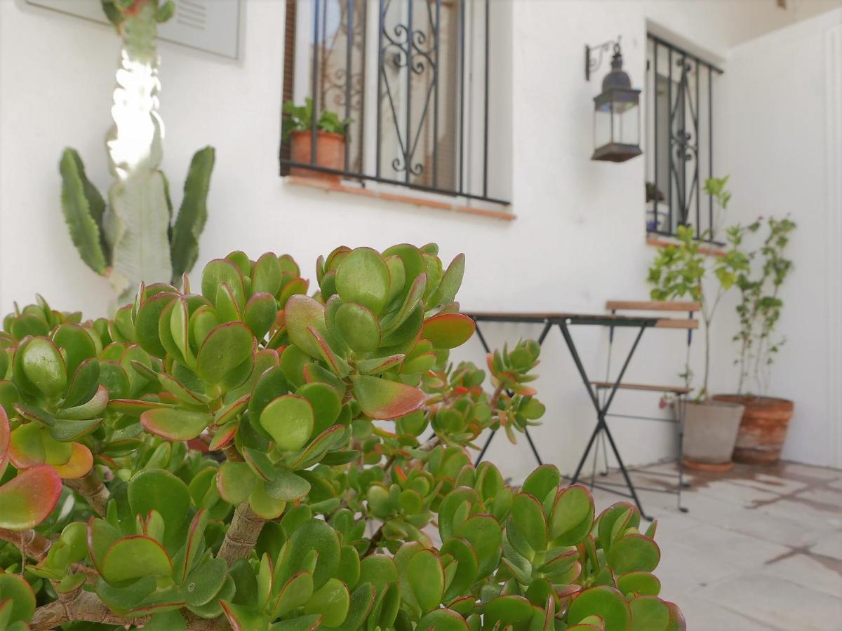 Amplio Y Con Encanto En El Centro Historico Appartement Tarifa
